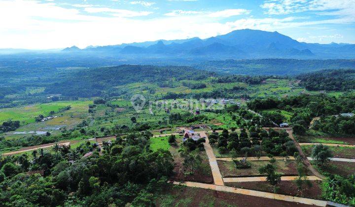 BISNIS KAVLING MURAH DI BOGOR UNTUK RESTORAN 1
