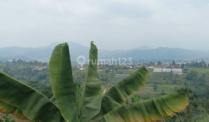 Tanah Murah Di Puncak Lokasi Strategis Harga Ekonomis 1