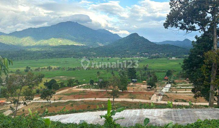JUAL KAVLING SAWAH HARGA MURAH BONUS PEMANDANGAN WAH 1