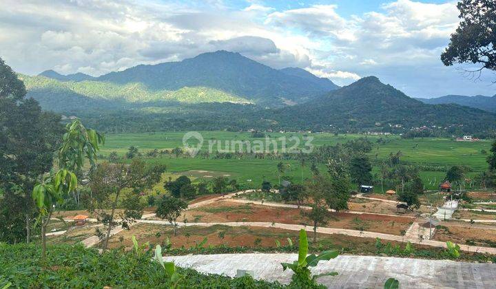 INVESTASI KAVLING SAWAH MURAH IDAMAN UNTUK MASA DEPAN 2