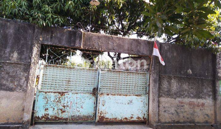 Rumah Sarang Burung Walet 2