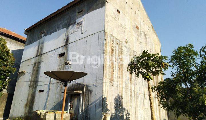 Rumah Sarang Burung Walet 1