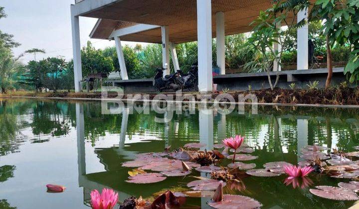 Villa Dengan View Gunung 1