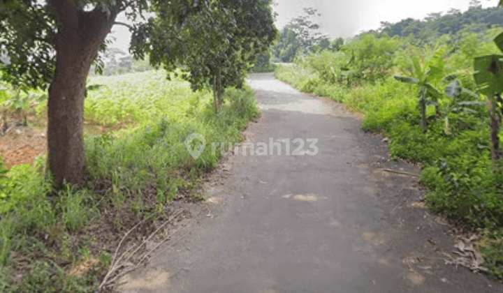 Tanah di Citeureup, Bogor Dekat Pasar Babakan Madang SHM Pasti 2