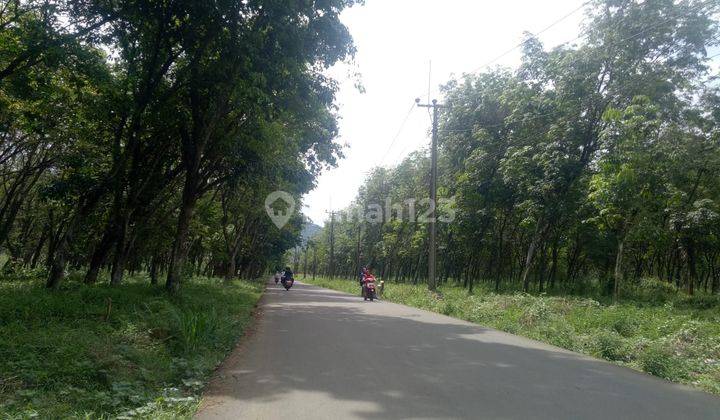 Kavling Murah Dekat Pusdiklat Bela Negara Kemhan Ri, Lokasi Asri 2