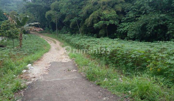 Tanah Murah di Ciampea, Dekat Stai Al Hidayah Pasti SHM 2