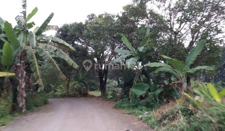 Tanah di Citeureup, Bogor Dekat 16 Menit Ke Rs Fmc Legalitas SHM 2