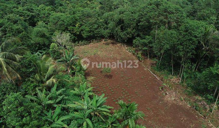 Tanah Kavling di Bogor Dekat Kantor Desa Gobang Terima SHM 1