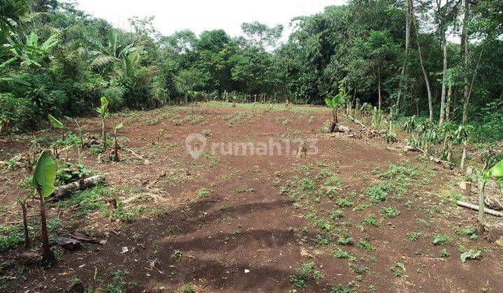 Tanah Kavling di Bogor Dekat Kantor Desa Gobang Terima SHM 2