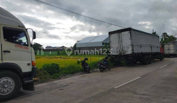 Tanah Premium Cocok Untuk Usaha Bisnis, Gudang Dekat Terminal Mengwi Kabupaten Bdung Bali 2