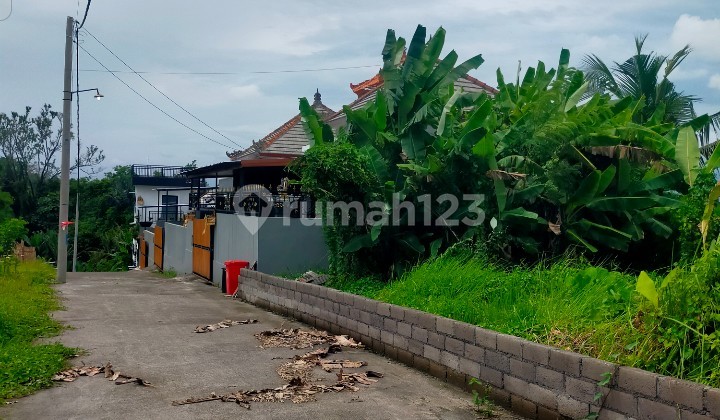 Tanah View Sawah Sudah Pondasi Dkt Rmh Sakit Wings Tabanan Bali Tanah View Sawah Sudah Pondasi Dkt Rmh Sakit Wings Tabanan Bali