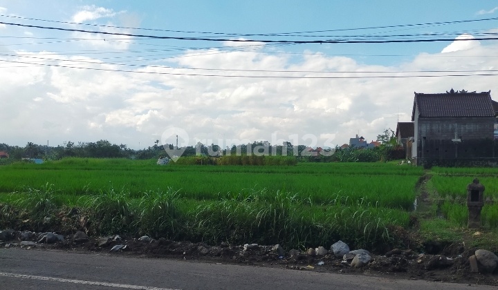 Tanah 6 Are Di Jln Utama Tabanan Bali 2