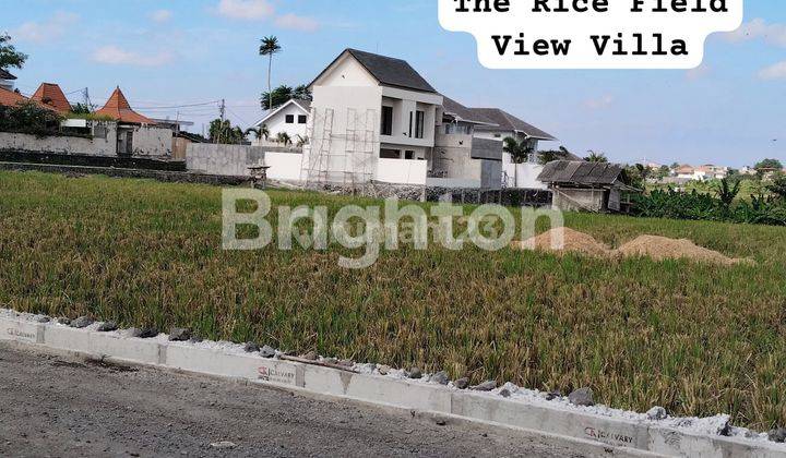 VILLAS OF CANGGU 1