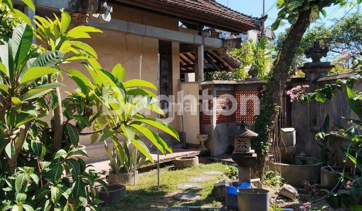 SPACIOUS HOUSE IN SANUR 2