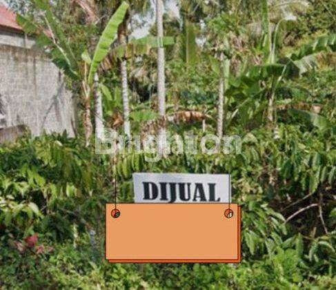 DIJUAL TANAH KEBUN PRODUKTIF PINGGIR JALAN DESA PAJAHAN PUPUAN TABANAN 1