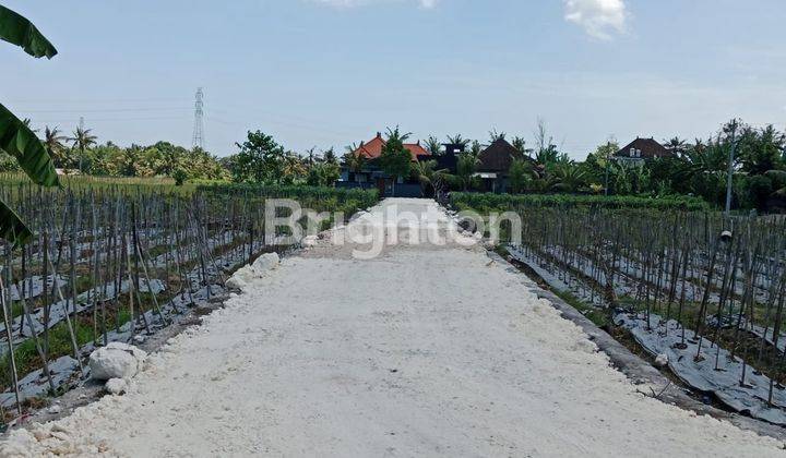 TANAH KAVLING MURAH LOKASI STRATEGIS DEKAT PANATAI YEH GANGGA TABANAN 1