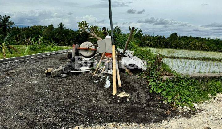 TANAH SIAP BANGUN ZONA KUNING  SIAP BANGUN NYITDAH TABANAN 2