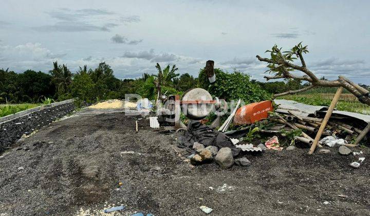 TANAH SIAP BANGUN ZONA KUNING  SIAP BANGUN NYITDAH TABANAN 2