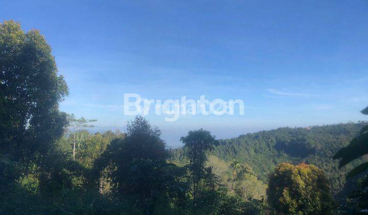 TANAH DI JUAL PINGGIR JALAN RAYA  VIEW BUKIT DI DESA MUNDUK BULELENG  2