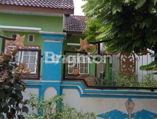 RUMAH SATU LANTAI 3 KAMAR TIDUR DI PASURUAN 1