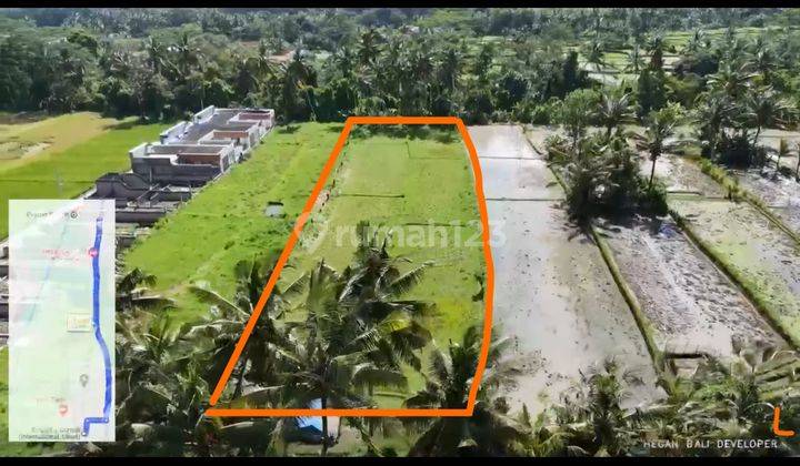 Strategic Land Location Pejeng Gianyar Available For Rent 2