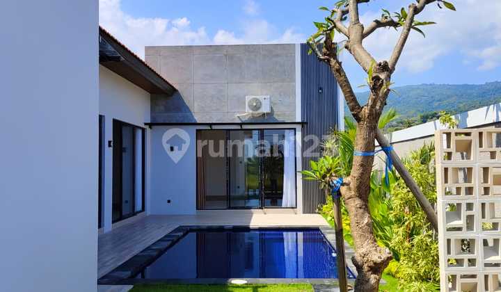New Beautiful Rice Field Villa in Buleleng New Beautiful Rice Field Villa in Buleleng