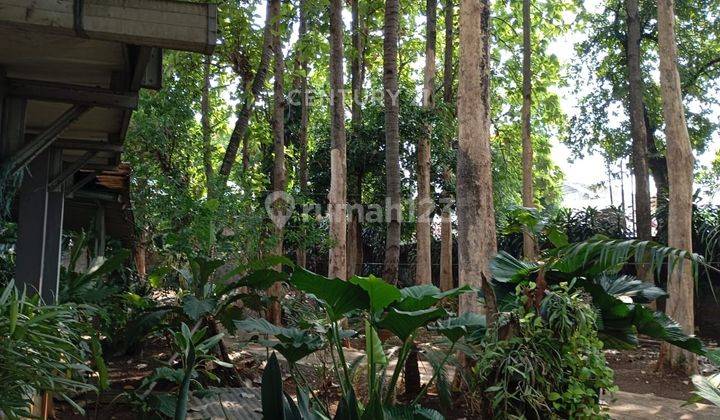 DI JUAL TANAH DAN RUMAH DI PETUKANGAN UTARA 1