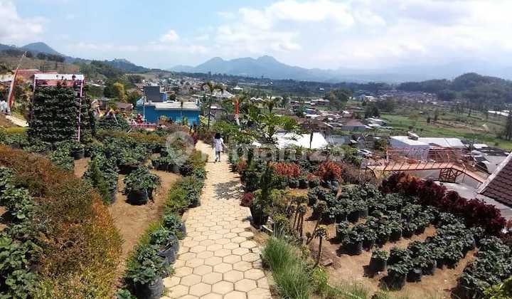 Quick Sale Rabbit Garden in Pujon, Batu