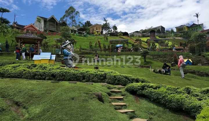 Quick Sale Rabbit Garden in Pujon, Batu