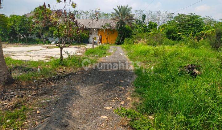 Dijual Tanah Dan Bangunan Di Bundaran Paji, Pucuk, Lamongan 1