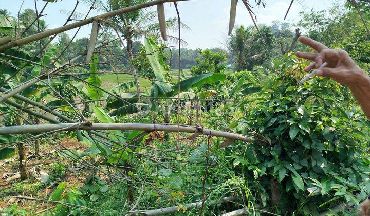 Tanah di Jalan rumpin bogor sekitar pasar cicangkal 11 hectare 2