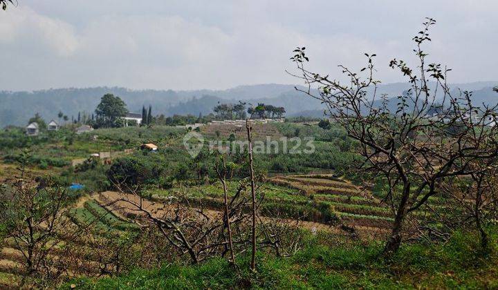 DIJUAL tanah/kebun apel di di Tulung rejo baru malang 2