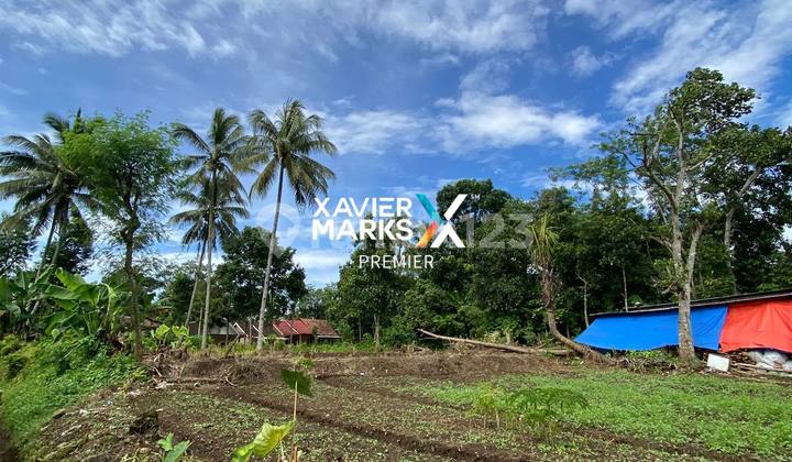 Residential Land Ready to Build in Kedungrejo Village, Pakis, Malang