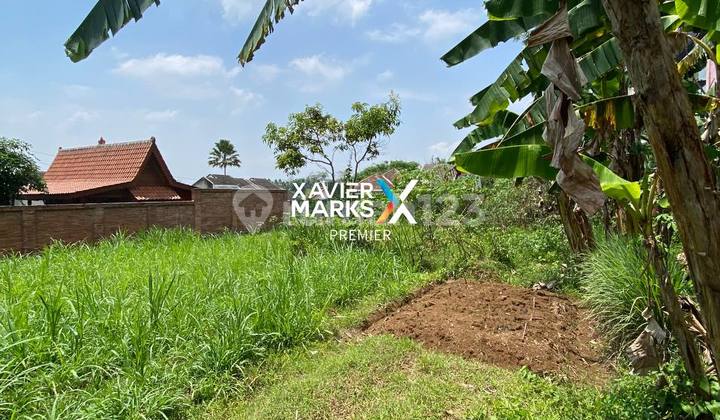 Tanah Di Dau Sumbersekar Dekat Ar-rohmah. 