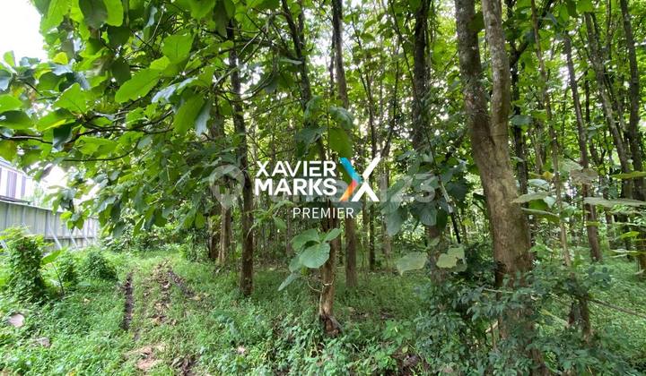 Tanah Siap Bangun Dekat Bandara Abdurrahman Saleh Pakis Malang