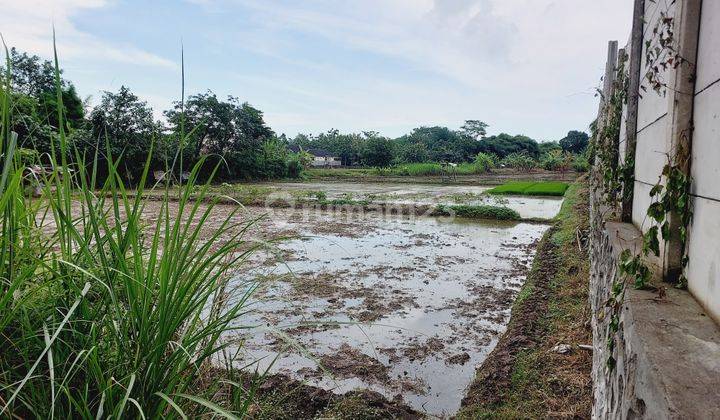 Tanah di Jalan Raya Mangkang 5000m2 SHn 4