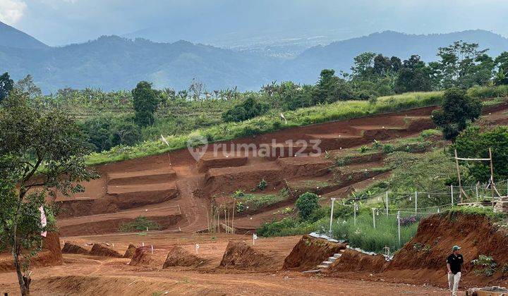 Blossoms Field Cipanas-Tanah Kavling+shm Free Kabut Dingin Selalu 1