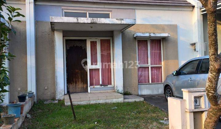 Rumah Siap Huni Lebar 7 Survana Sutera Tangerang Shm Bs Kpr 2