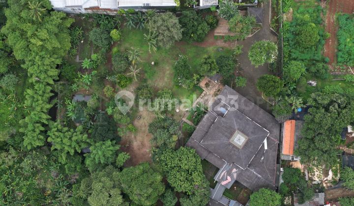 Rumah Tanah Luas Area Premium Jagakarsa Dekat Tol Andara