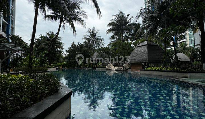 Apartemen Hampton Park 2 BR Best View Pool Middle Floor 2