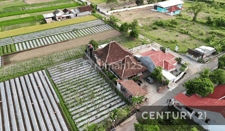 Rumah Elegan Dan Nyaman Dengan Teras Joglo Di Bokoharjo Kalasan 2