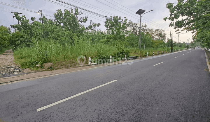 Tanah 3291 M2 Di Jalan Jalur Utama Ke Pantai Gunung Kidul 2