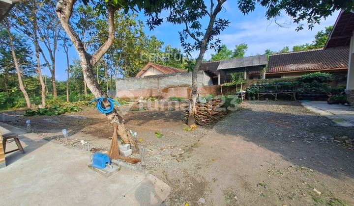 Tanah 249m2 Lingkungan Nyaman Di Wonosari Cocok Untuk Hunian Tanah 249m2 Lingkungan Nyaman Di Wonosari Cocok Untuk Hunian