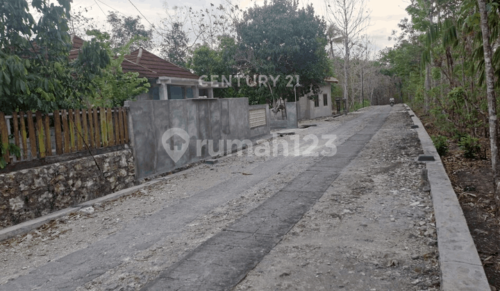 Tanah Pekarangan Luas 860 M2 Di Wonosari Cocok Untuk Investasi Tanah Pekarangan Luas 860 M2 Di Wonosari Cocok Untuk Investasi