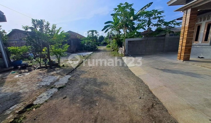 Tanah 249m2 Lingkungan Nyaman Di Wonosari Cocok Untuk Hunian Tanah 249m2 Lingkungan Nyaman Di Wonosari Cocok Untuk Hunian