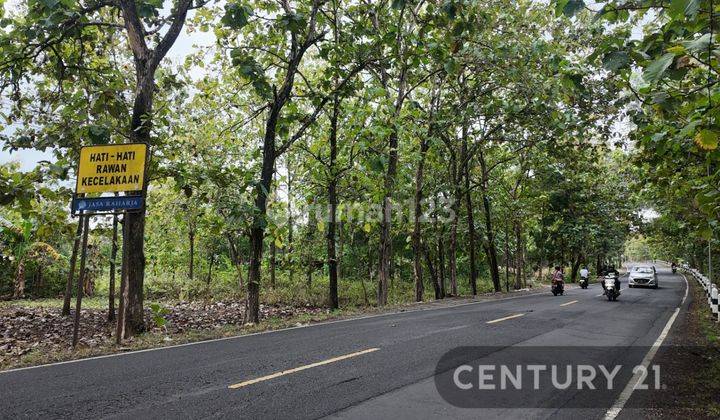 Dijual Cepet Saja Tanah 500 M Di Wonosari Mangku Jalan Besar 1