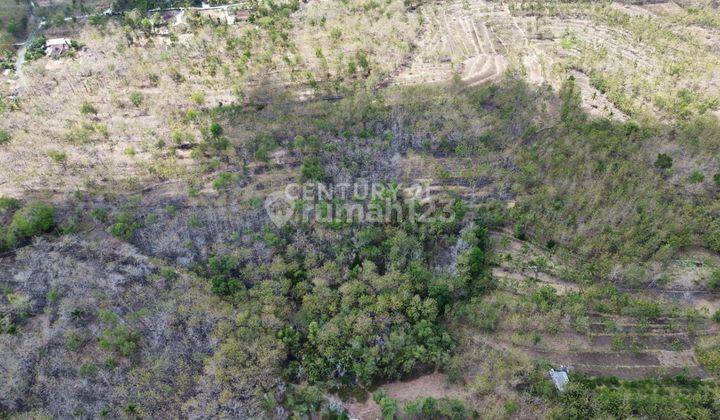 Dijual Tanah Desa Mulo Wonosari, Gunung Kidul Ini 1