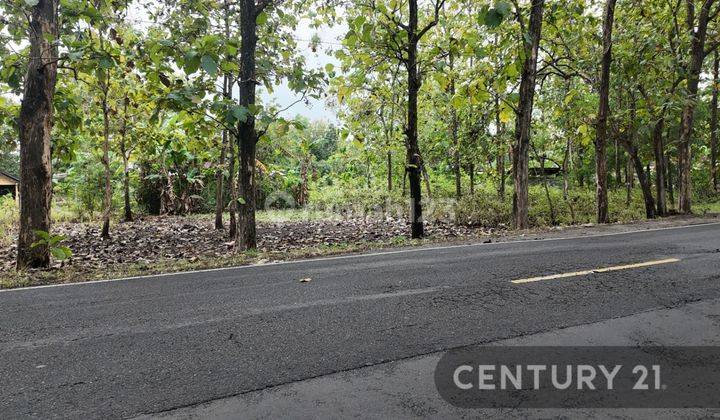 Dijual Cepet Saja Tanah 500 M Di Wonosari Mangku Jalan Besar 2