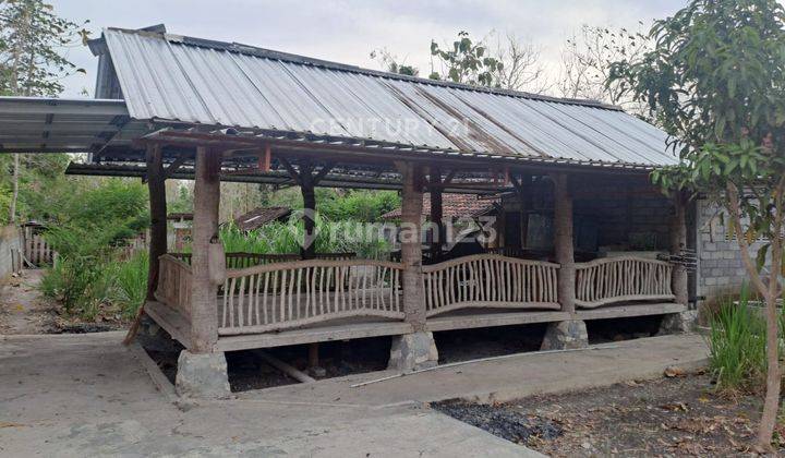 Tanah Pekarangan Luas 860 M2 Di Wonosari Cocok Untuk Investasi 2