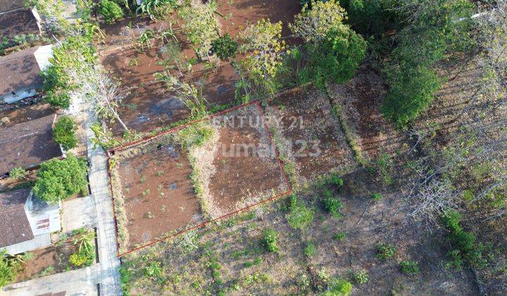 Tanah Luas 500 M2 Di Piyaman Gunungkidul Cocok Untuk Cluster 1